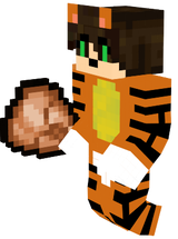 Gato