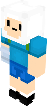 fin
