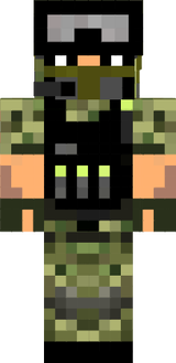skin