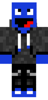 sas