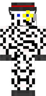 Mr. Zebra