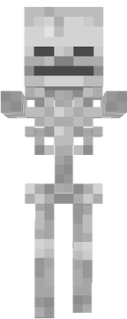 New Skeleton