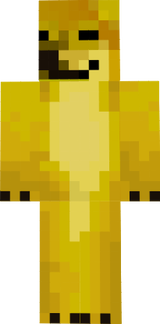 Dogi