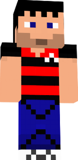 Flamengista