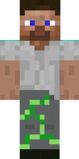 steve novo 2