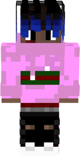 new skin edidor