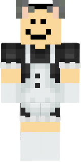 quackity maid