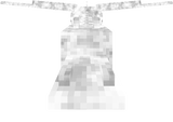 jkkj