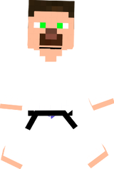 Ninja Super