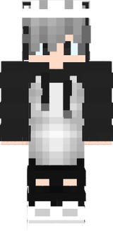dsdsa
