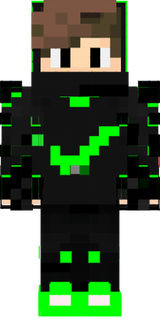 skin