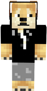 DogeRebelkonecna