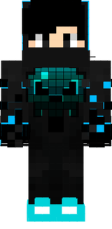 skin