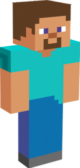 Steves