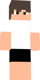 skin fixa
