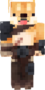 shiba med