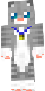 gatito mateo