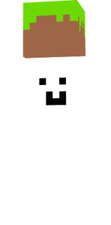 skin 1