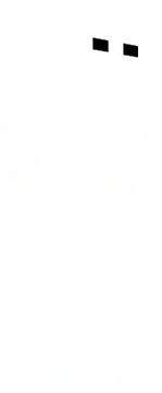 HOla