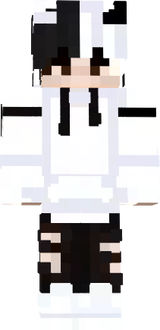 Mrralsei skin