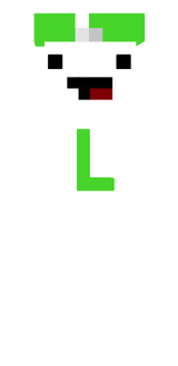 skin L