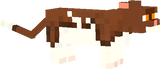 Ginkgokit/paw