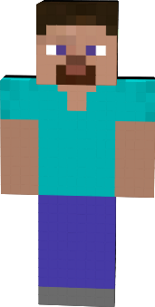 Preview of texture: endersteve