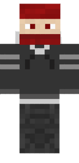 Modern Ninja