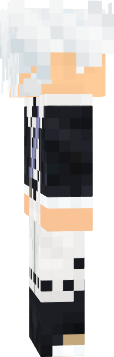 minecraft.assassin.skin