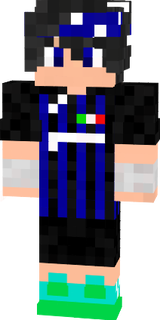 PolarDSM