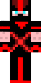 ~ Le ninja ~