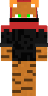 katze