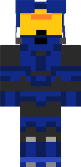 RoboSim