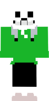 SANS