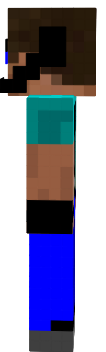Combat Steve