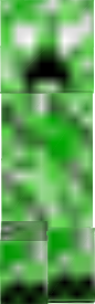 CreeperBrine