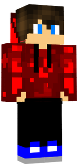 1231231
