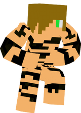 Tiger Boy
