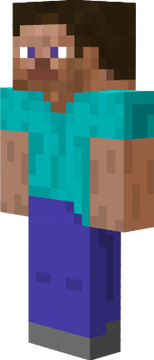 steve