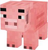 yorn pig