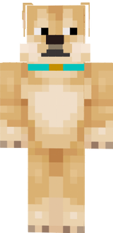 Dogi