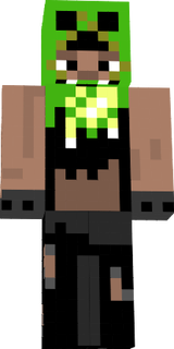 minifigure skin