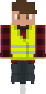 Gilet jaune