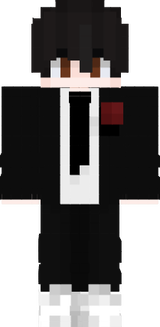 skin minecraft