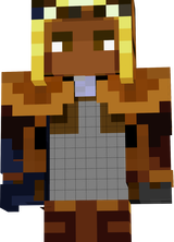 wip4