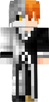 ichigo half hollow