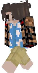 dgsdyer