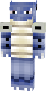 Skin Tortank