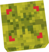 Melon
