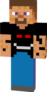 steve rever